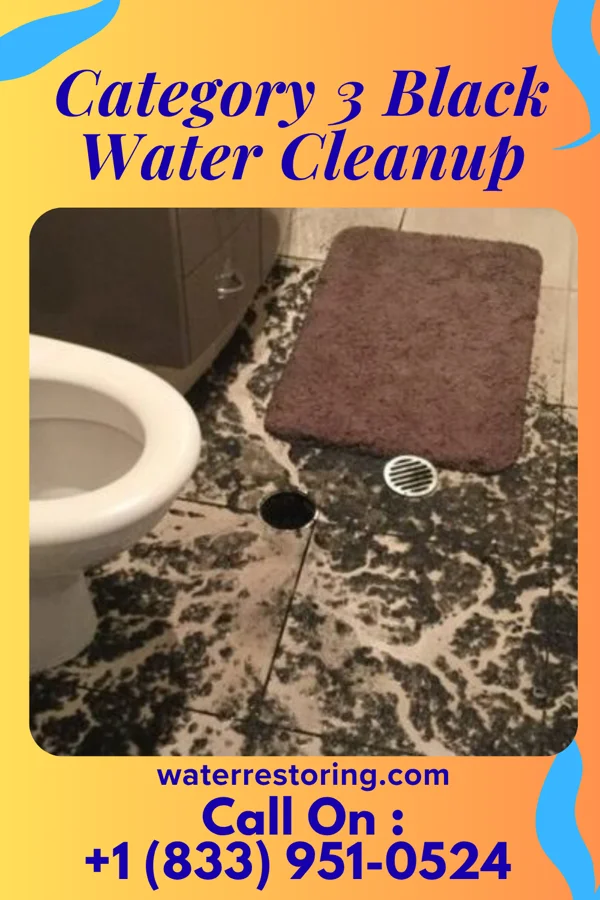 Category 3 Black Water Cleanup in Billington Heights, NY