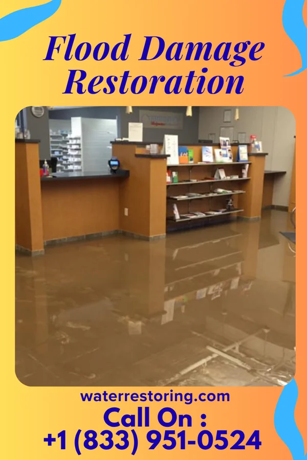 Flood Damage Restoration in Billington Heights, NY