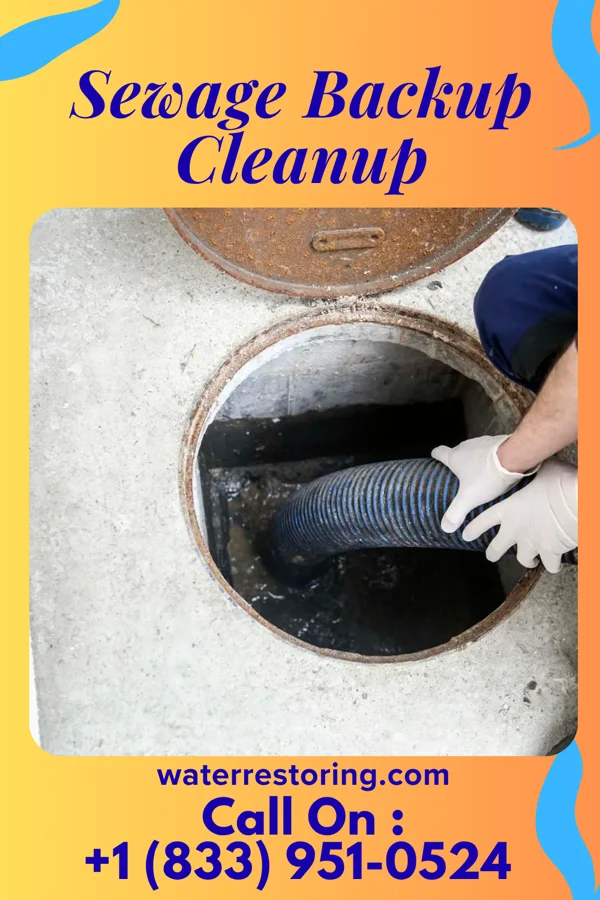 Sewage Backup Cleanup in Billington Heights, NY