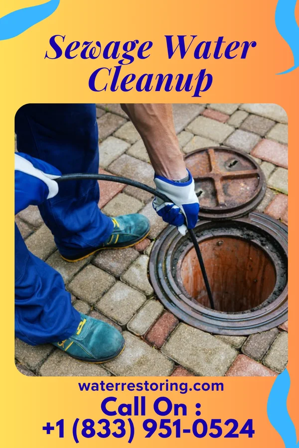 Sewage Water Cleanup in Billington Heights, NY