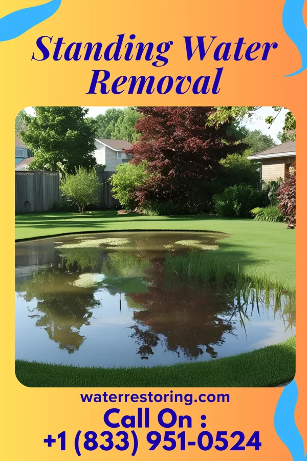 Standing Water Removal in Billington Heights, NY